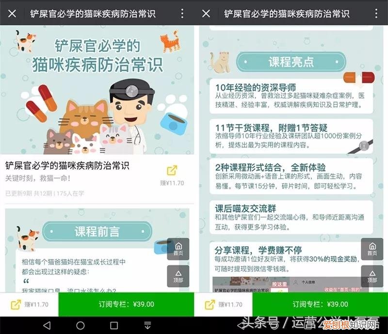 自媒体宠物领域可以吗,2年50万铲屎官关注,宠物类自媒体如何运营?专访丨猫来了