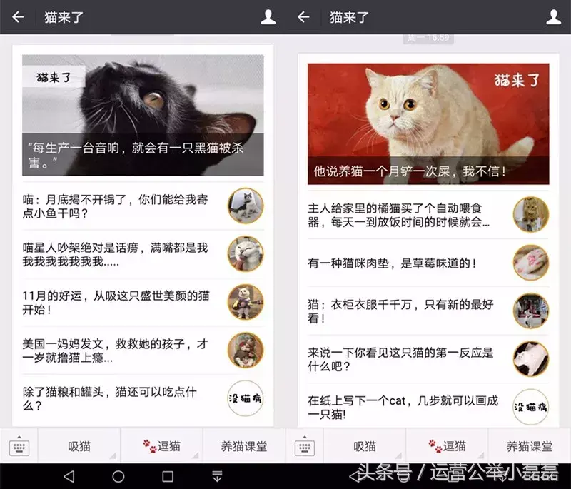 自媒体宠物领域可以吗,2年50万铲屎官关注,宠物类自媒体如何运营?专访丨猫来了