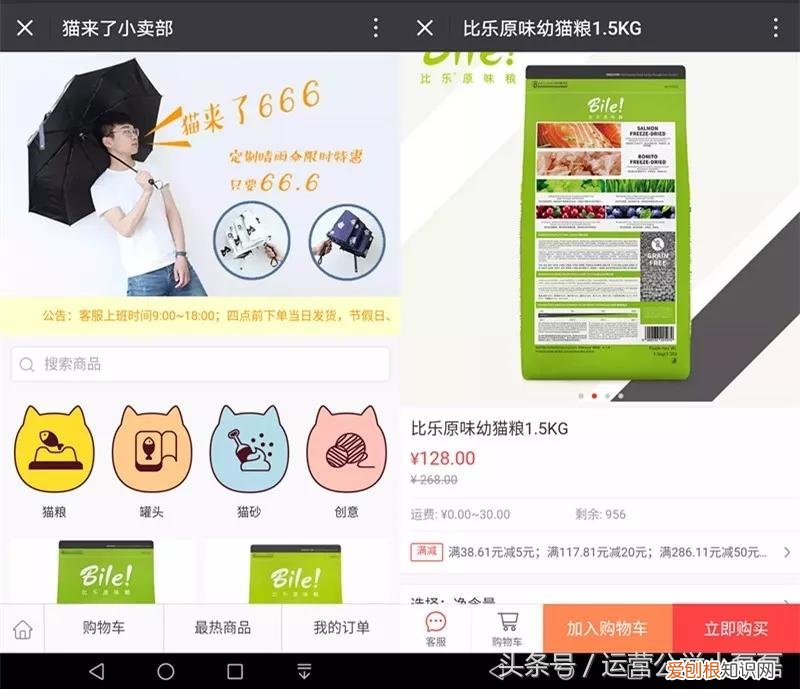 自媒体宠物领域可以吗,2年50万铲屎官关注,宠物类自媒体如何运营?专访丨猫来了