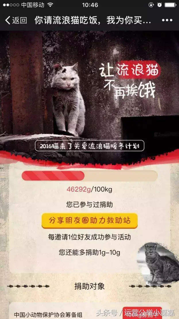 自媒体宠物领域可以吗,2年50万铲屎官关注,宠物类自媒体如何运营?专访丨猫来了