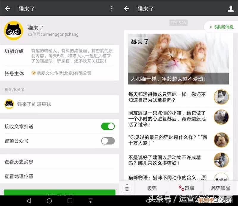 自媒体宠物领域可以吗,2年50万铲屎官关注,宠物类自媒体如何运营?专访丨猫来了
