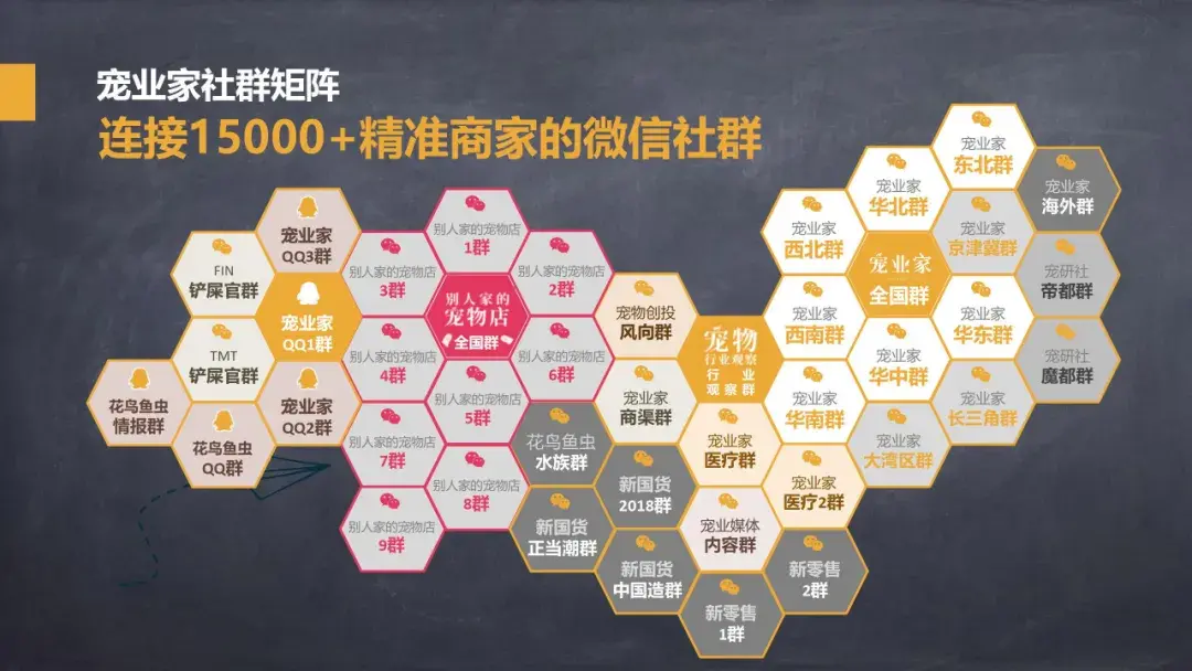 宠物小程序开发流程，宠业家小程序开放测试，为宠物从业者打造专属内容社区