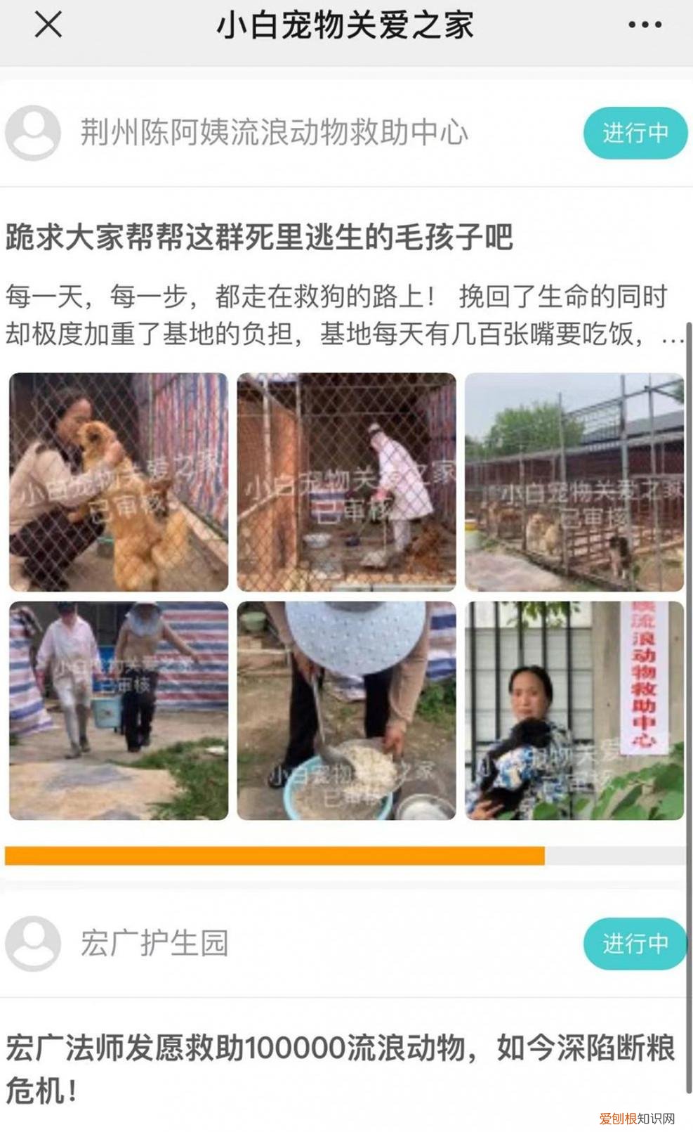 流浪狗公益组织，“流浪狗基地”在多个公众号募捐，部分善款去向引争议