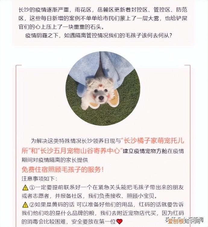 长沙宠物运输，长沙宠物托管中心设“宠物方舱”：免费为被隔离家长寄养宠物，不想再有宠物被伤害