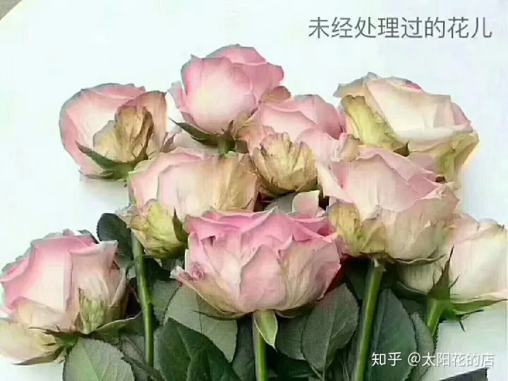 鲜花能存放几天，鲜花收到后怎么养可以开得更久？