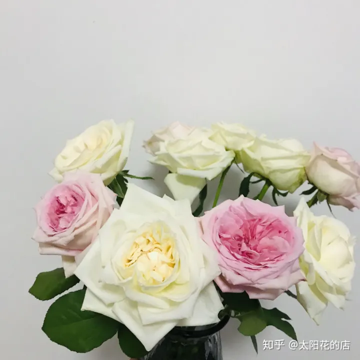 鲜花能存放几天，鲜花收到后怎么养可以开得更久？