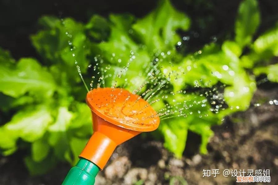室内植物配置图设计说明怎么写，室内植物种植5方法，家居花草35张装修布置图，懒人秒懂小户型也适用