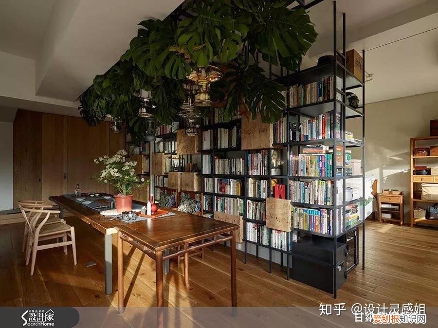 室内植物配置图设计说明怎么写，室内植物种植5方法，家居花草35张装修布置图，懒人秒懂小户型也适用