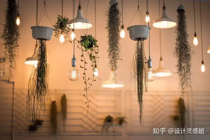 室内植物配置图设计说明怎么写，室内植物种植5方法，家居花草35张装修布置图，懒人秒懂小户型也适用