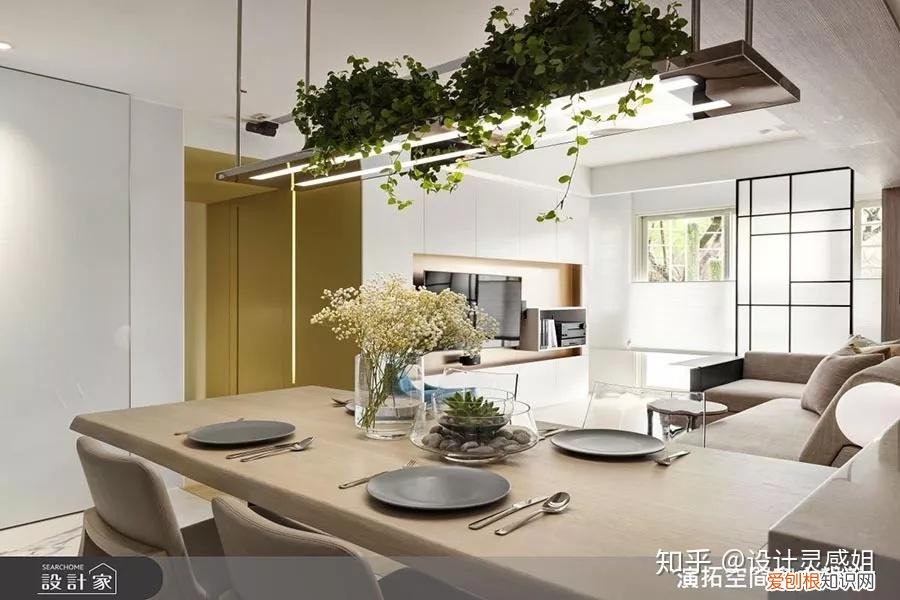 室内植物配置图设计说明怎么写，室内植物种植5方法，家居花草35张装修布置图，懒人秒懂小户型也适用