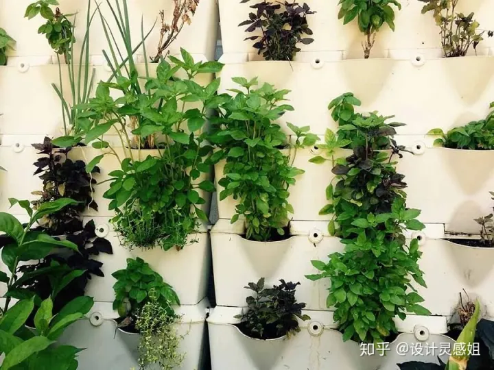 室内植物配置图设计说明怎么写，室内植物种植5方法，家居花草35张装修布置图，懒人秒懂小户型也适用