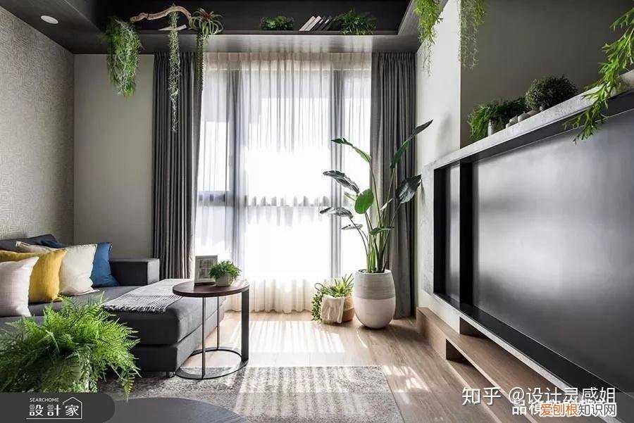 室内植物配置图设计说明怎么写，室内植物种植5方法，家居花草35张装修布置图，懒人秒懂小户型也适用