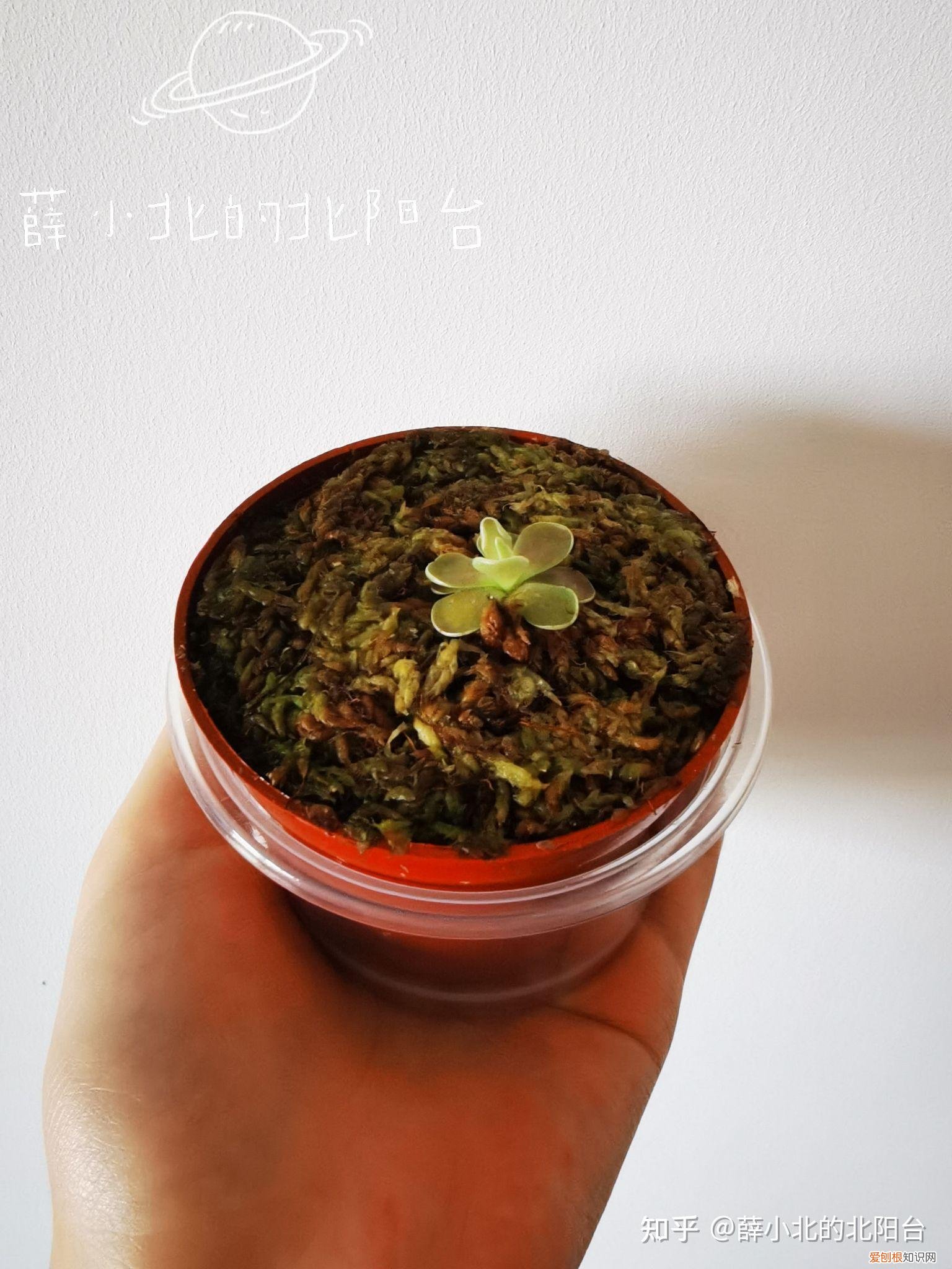 养花最好用什么土养植，新手，想养花，但是很多都不懂，什么花好养，土壤的选择，注意事项，有没有什么比较全面的书或是回答？