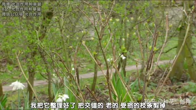 如何从零开始养花草，如何从零开始养花