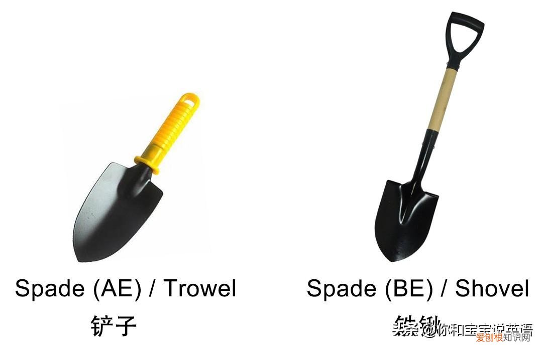 浇植物用英语怎么写,用英文教宝宝种植物,播种、浇水、移栽、培土……