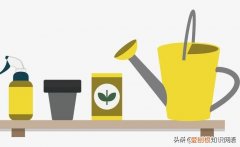 浇植物用英语怎么写，用英文教宝宝种植物，播种、浇水、移栽、培土……