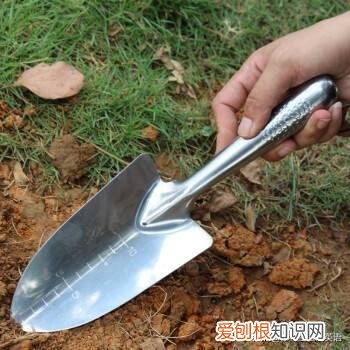 浇植物用英语怎么写,用英文教宝宝种植物,播种、浇水、移栽、培土……