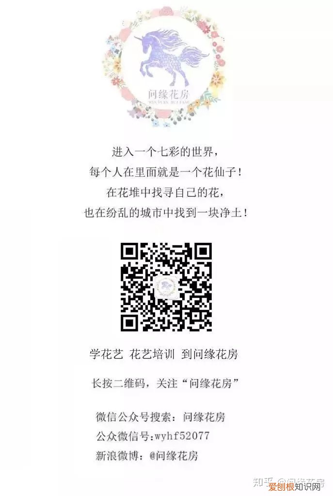 关于养花的公众号,养花技巧|养花之路从这里开始!