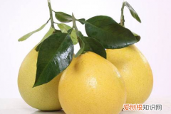 柚子表皮发霉了还能吃吗