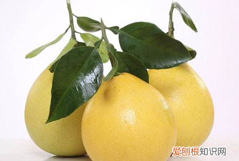 柚子表皮发霉了还能吃吗