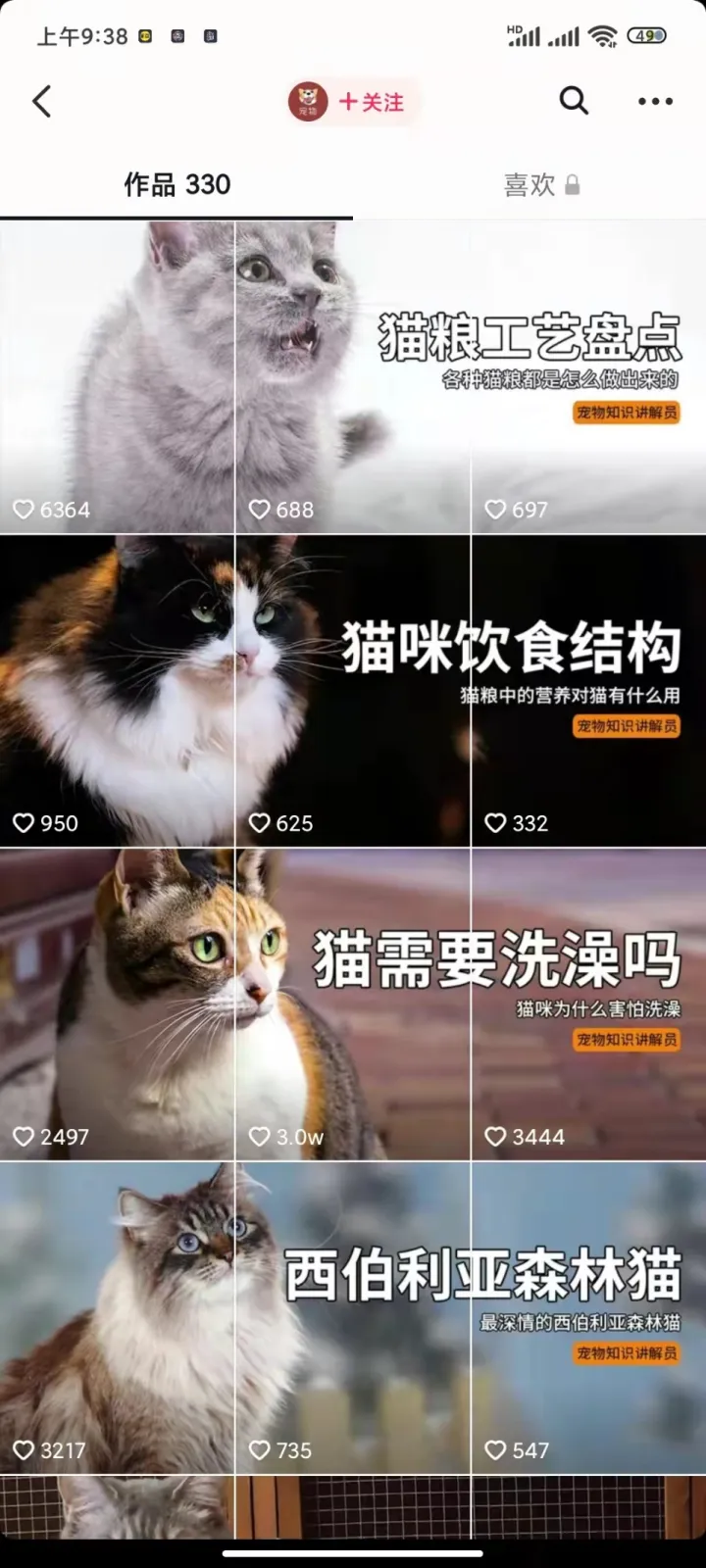 拆解小型电陶炉,详细拆解宠物类账号玩法,轻松实现月入过万