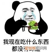 狗狗吃啥都没味道，莫非是外面有狗了？，狗为什么不能吃有味道的东西