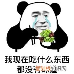 狗狗吃啥都没味道，莫非是外面有狗了？，狗为什么不能吃有味道的东西