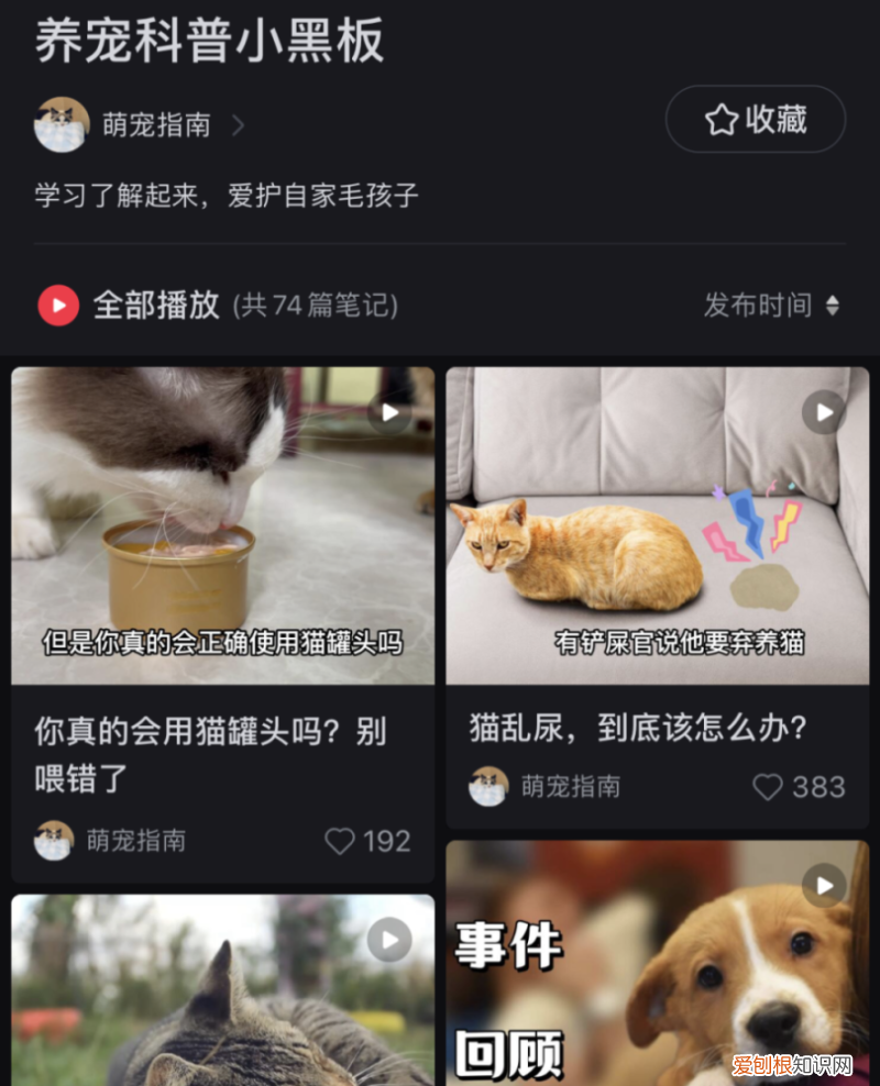 小红书账号的粉丝怎么迁移到抖音上，账号拆解｜小红书萌宠博主粉丝量15万+宠物账号如何快速涨粉变现