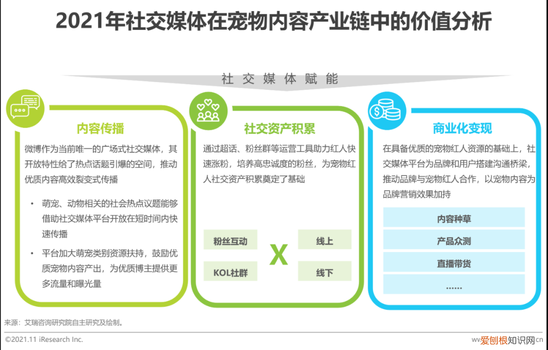 中国宠物行业白皮书下载，2021年中国宠物内容价值研究白皮书