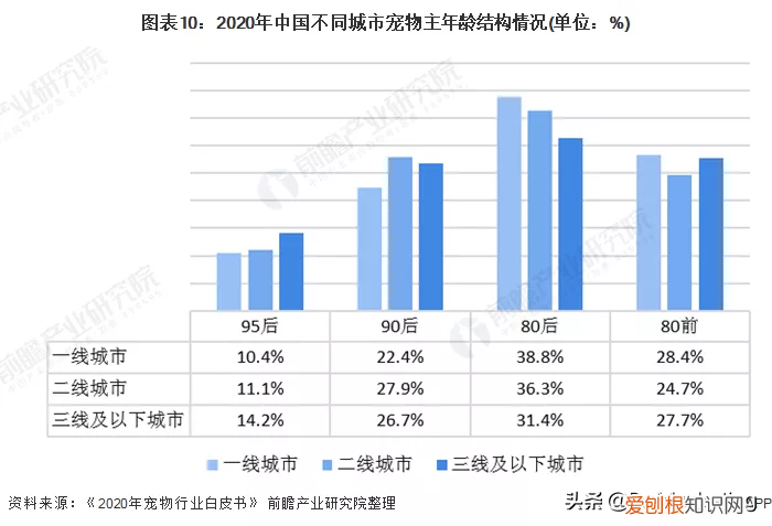 卫仕保健品怎么样，《宠物医院3》x 卫仕，如何撬动千亿宠物市场？