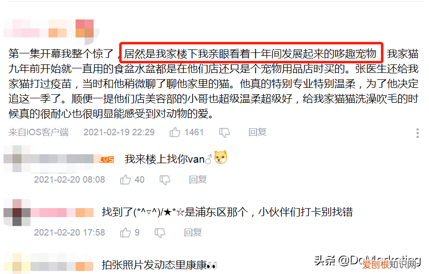 卫仕保健品怎么样，《宠物医院3》x 卫仕，如何撬动千亿宠物市场？