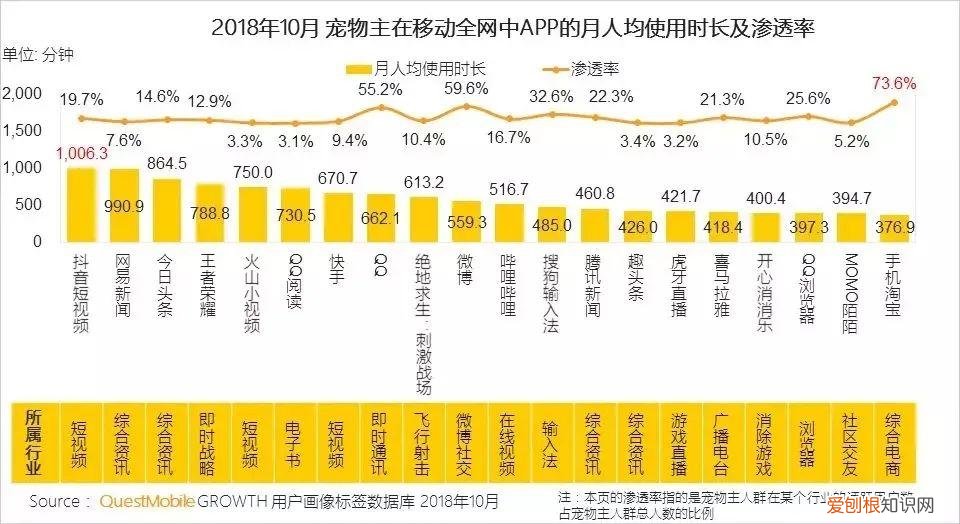猫咪视频素材库，关于萌宠短视频的发展，你知道多少？