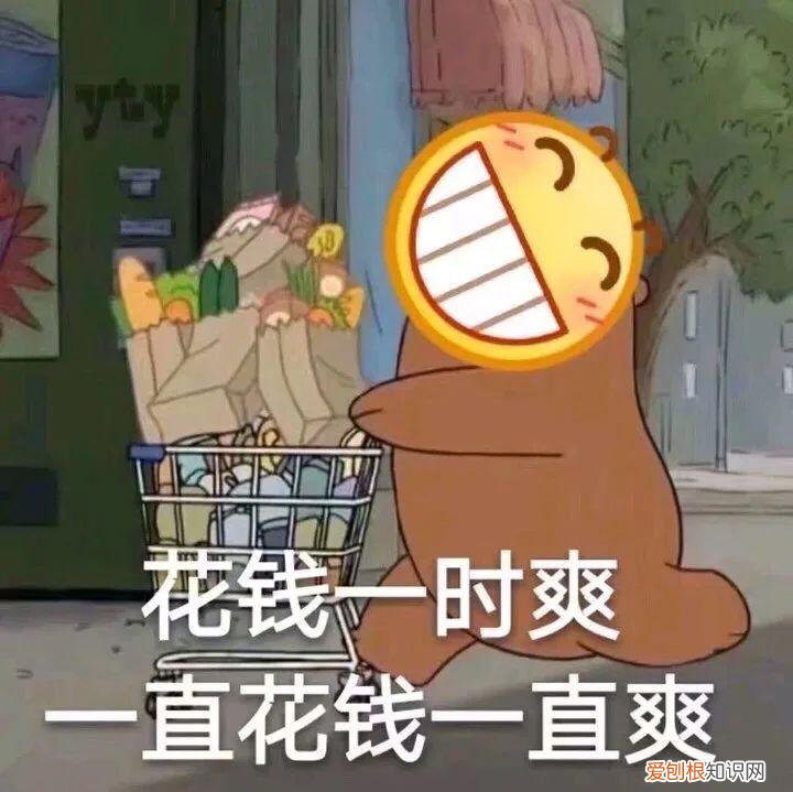 猫咪视频素材库，关于萌宠短视频的发展，你知道多少？