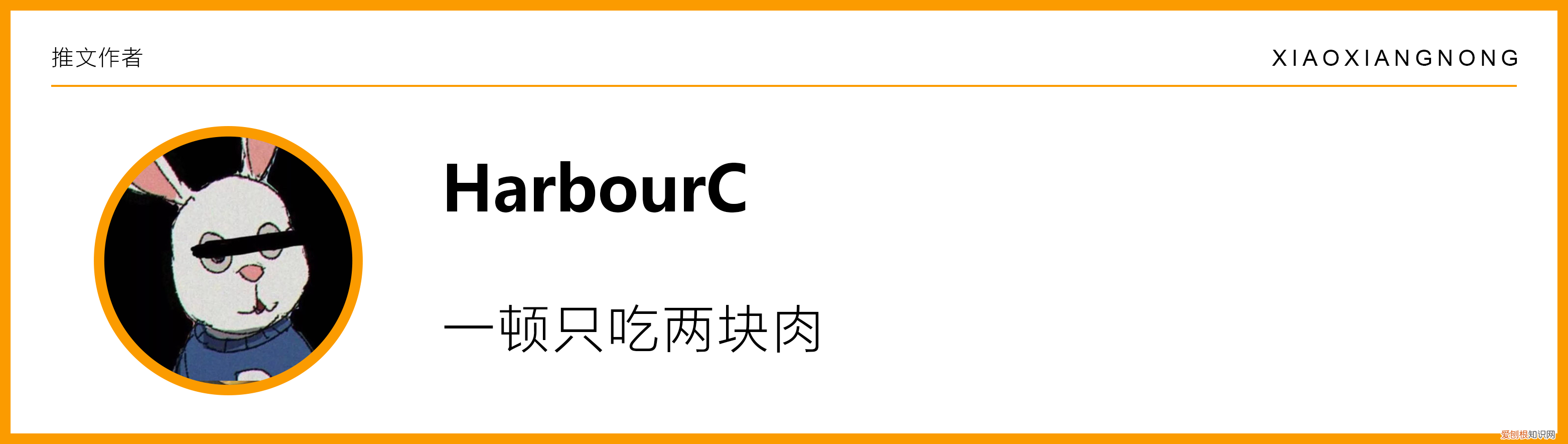 猫咪视频素材库，关于萌宠短视频的发展，你知道多少？
