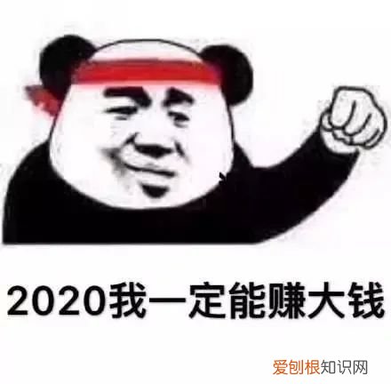 猫咪视频素材库，关于萌宠短视频的发展，你知道多少？