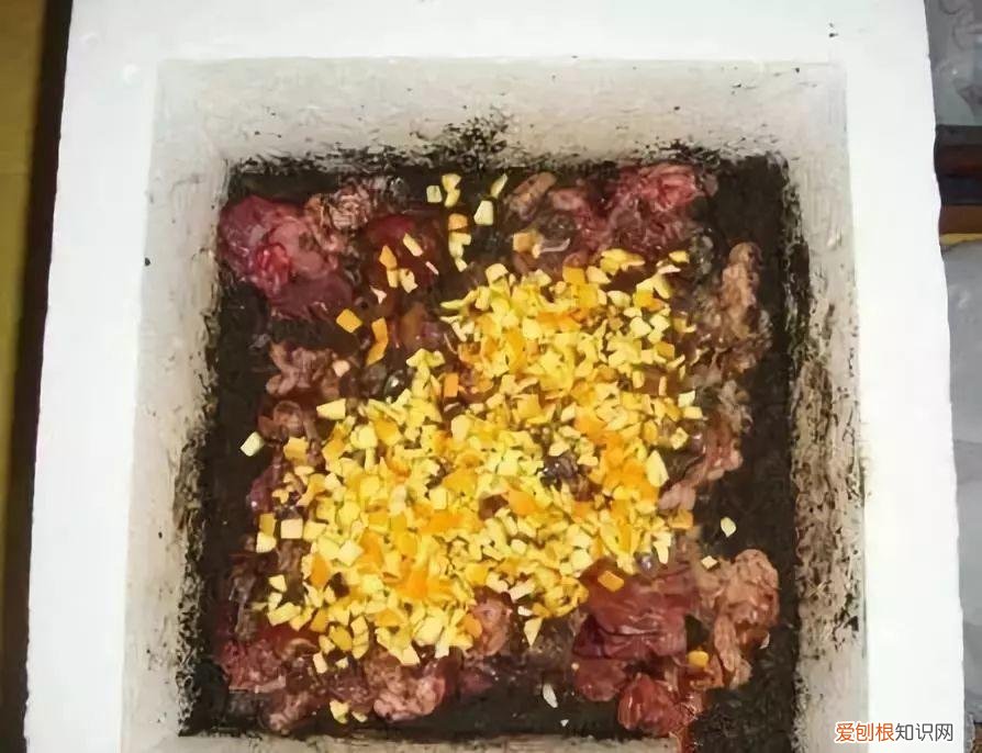 鸡蛋坏了可以直接放花盆做肥料吗，鸡蛋就是万能肥，盆里埋一颗，3个月结出大草莓！