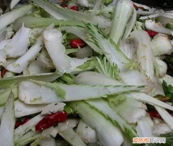 鸡蛋坏了可以直接放花盆做肥料吗，鸡蛋就是万能肥，盆里埋一颗，3个月结出大草莓！