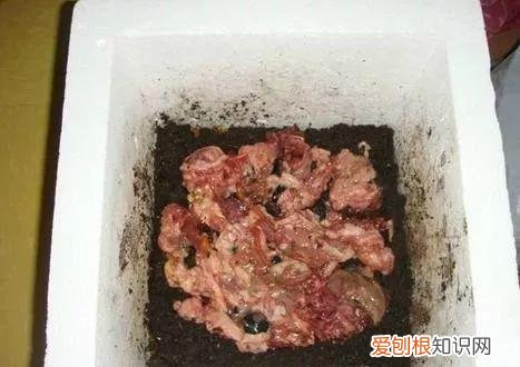 鸡蛋坏了可以直接放花盆做肥料吗，鸡蛋就是万能肥，盆里埋一颗，3个月结出大草莓！