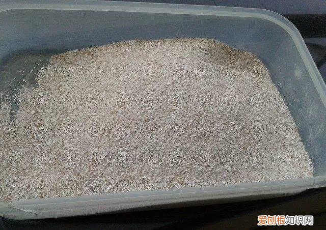 鸡蛋坏了可以直接放花盆做肥料吗，鸡蛋就是万能肥，盆里埋一颗，3个月结出大草莓！