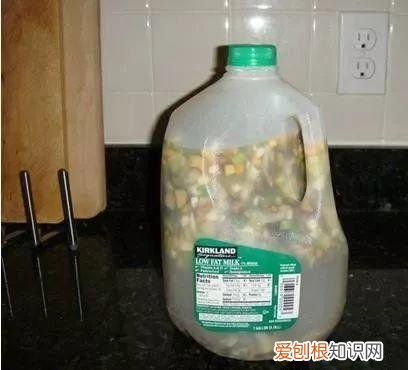 鸡蛋坏了可以直接放花盆做肥料吗，鸡蛋就是万能肥，盆里埋一颗，3个月结出大草莓！
