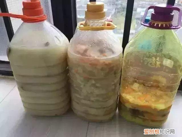 鸡蛋坏了可以直接放花盆做肥料吗，鸡蛋就是万能肥，盆里埋一颗，3个月结出大草莓！
