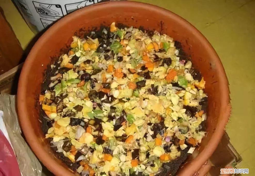 鸡蛋坏了可以直接放花盆做肥料吗，鸡蛋就是万能肥，盆里埋一颗，3个月结出大草莓！