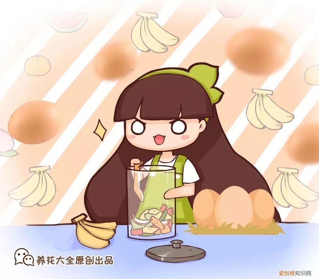 鸡蛋坏了可以直接放花盆做肥料吗，鸡蛋就是万能肥，盆里埋一颗，3个月结出大草莓！