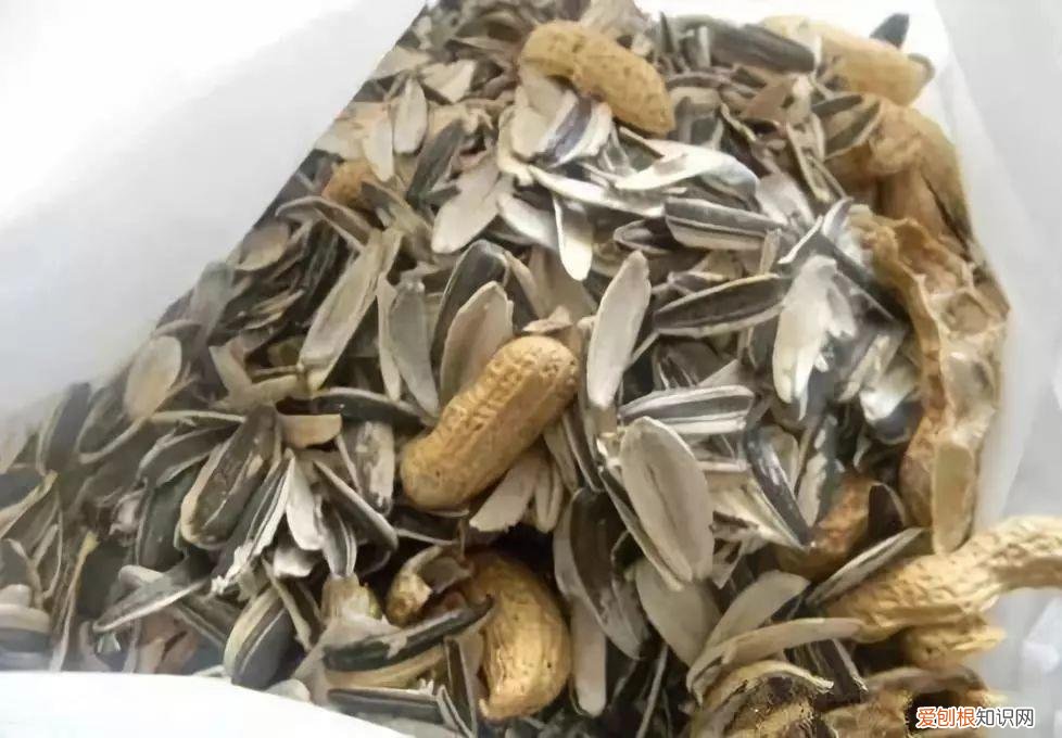 鸡蛋坏了可以直接放花盆做肥料吗，鸡蛋就是万能肥，盆里埋一颗，3个月结出大草莓！