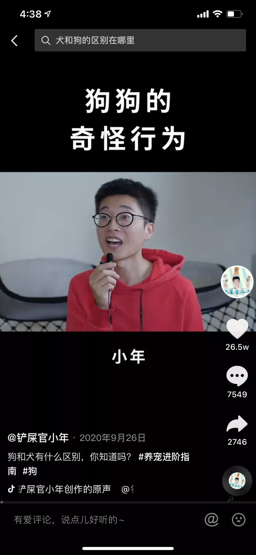 ?这五个宠物达人中，有一位挑战用 100 种方式教大家养狗