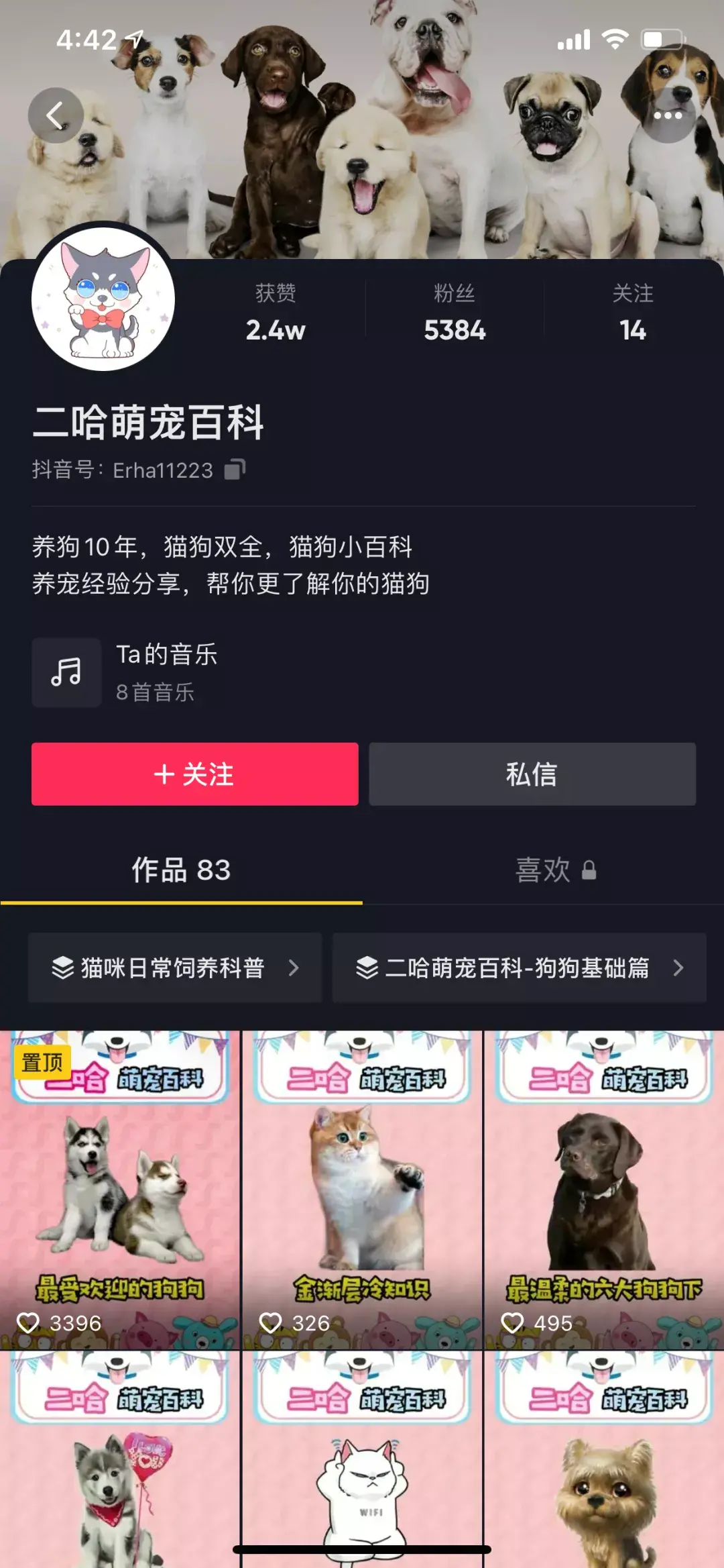?这五个宠物达人中，有一位挑战用 100 种方式教大家养狗