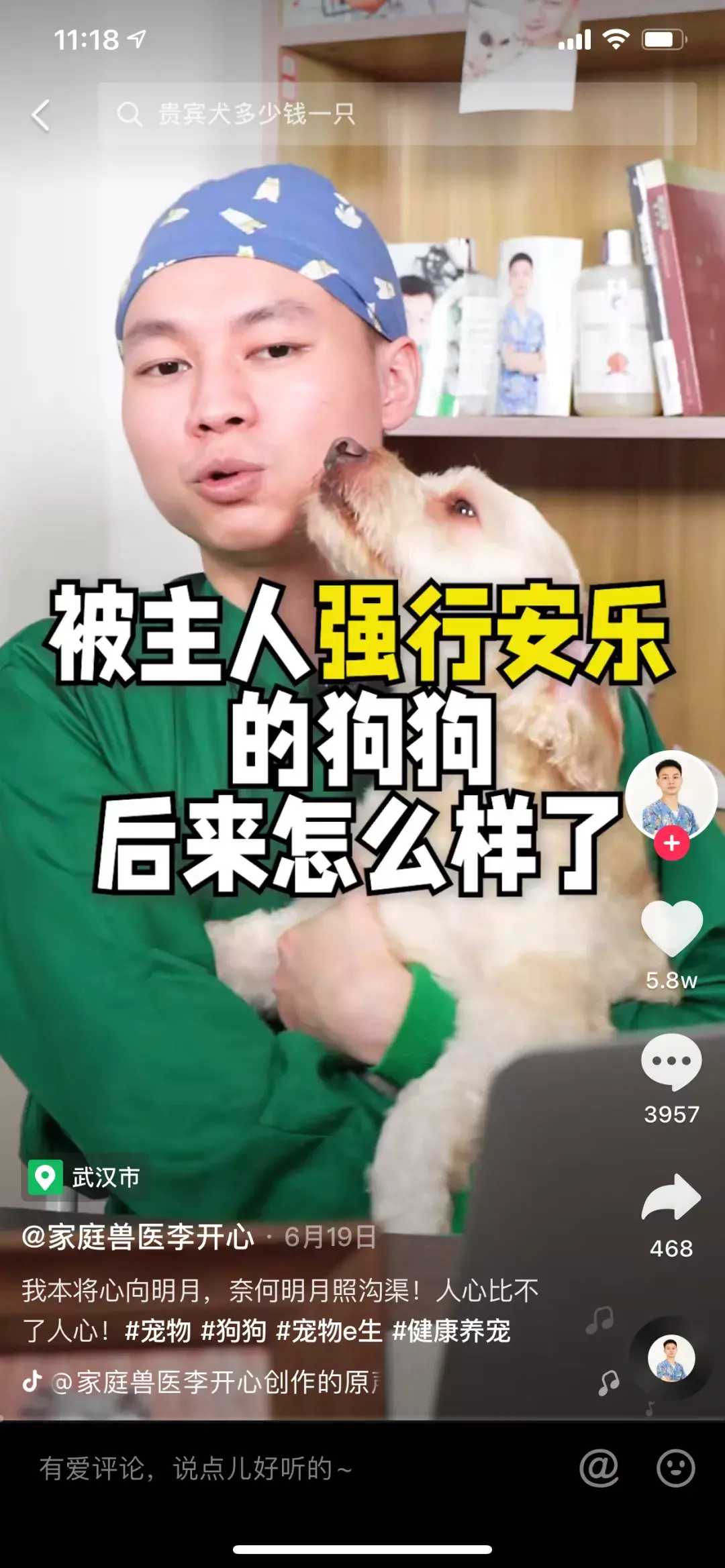 ?这五个宠物达人中，有一位挑战用 100 种方式教大家养狗