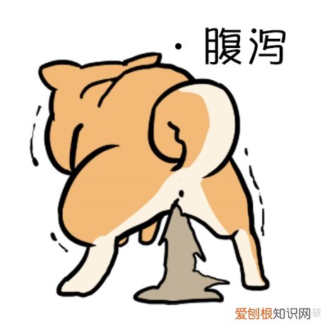 瑞鹏宠物医院医生介绍，新瑞鹏宠物医院分享的10个小知识，让你的爱宠远离虫害