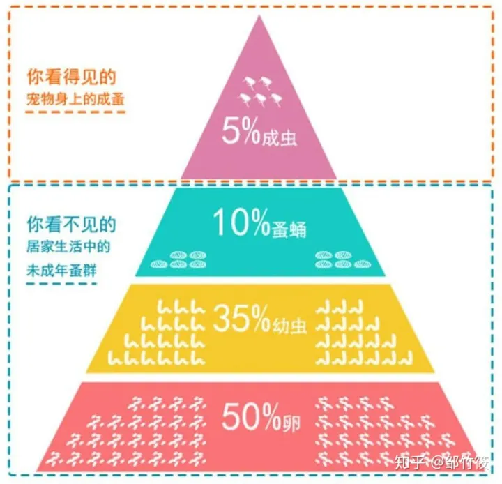 瑞鹏宠物医院医生介绍，新瑞鹏宠物医院分享的10个小知识，让你的爱宠远离虫害