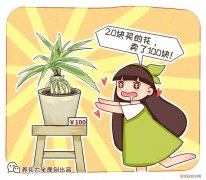吊兰下面白色的根怎么种，吊兰的另一种养法，白根变绿根，蹭蹭长成高价盆景